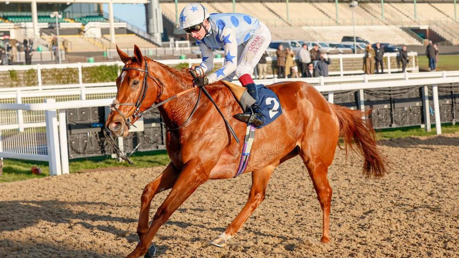 Stateira winning at Newcastle in January (Grossick Racing Photography)