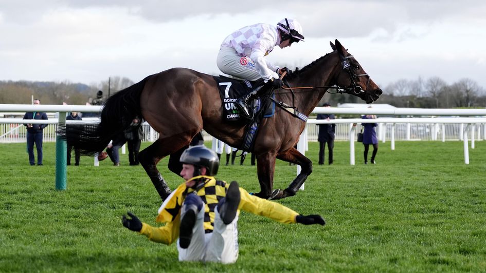 Just some of the drama from this year's Champion Hurdle