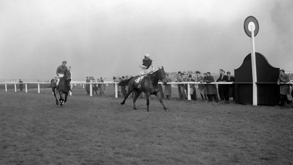 Oxo wins the National