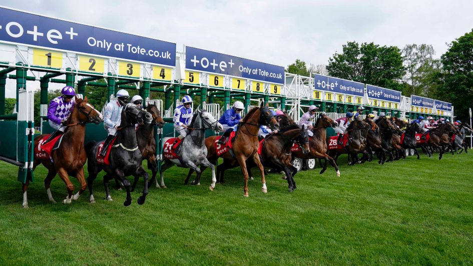 The field leave the stalls for the Victoria Cup