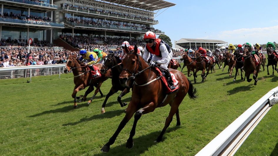 Copper Knight is too quick for his rivals at York