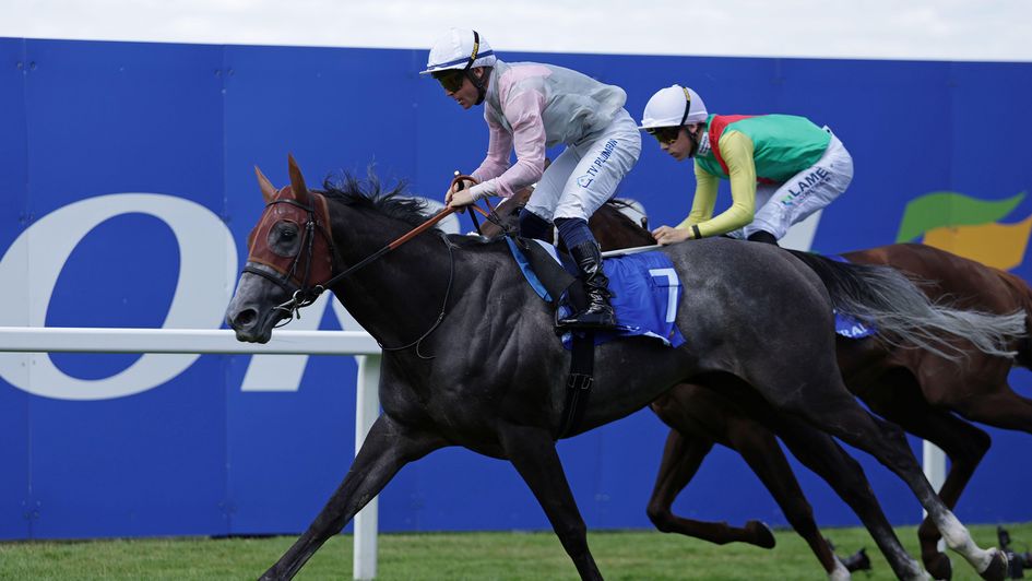 Indalo wins under Ray Dawson