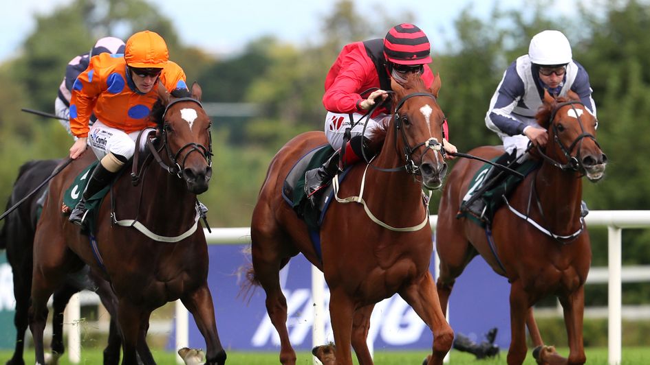 Panama Red (centre) wins for Ger Lyons