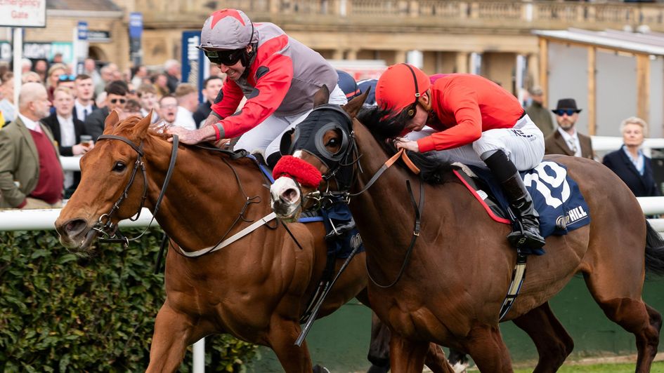 Thunder Roar and Pearl Eye fight it out for the Spring Mile