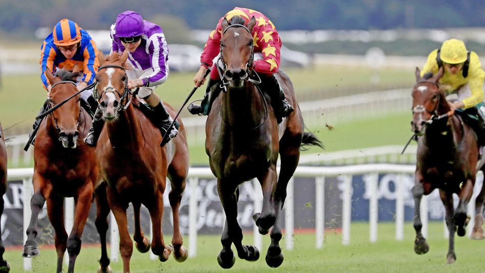 Al Riffa goes clear at the Curragh