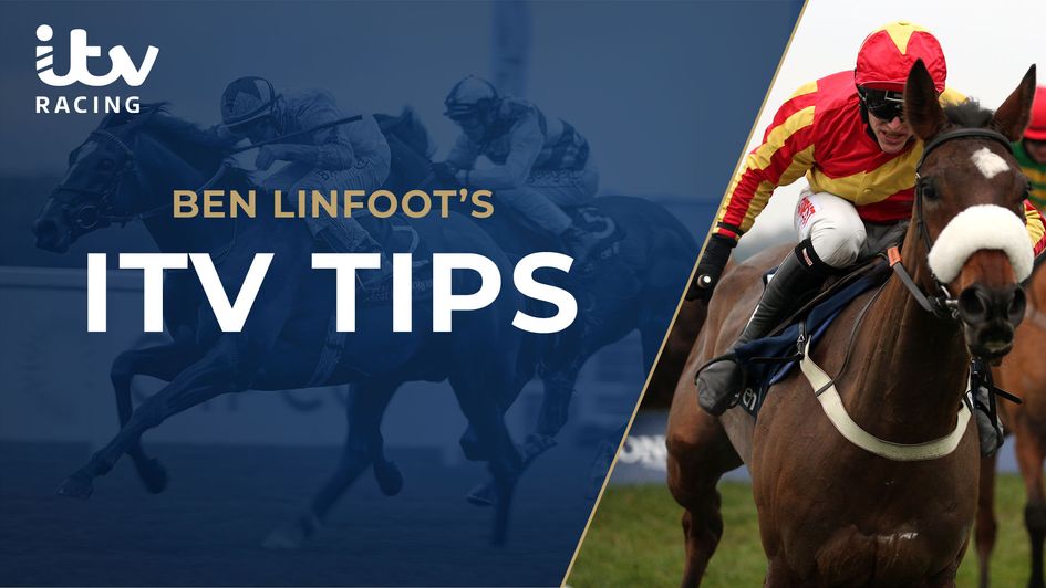 Annsam can go well at Newbury