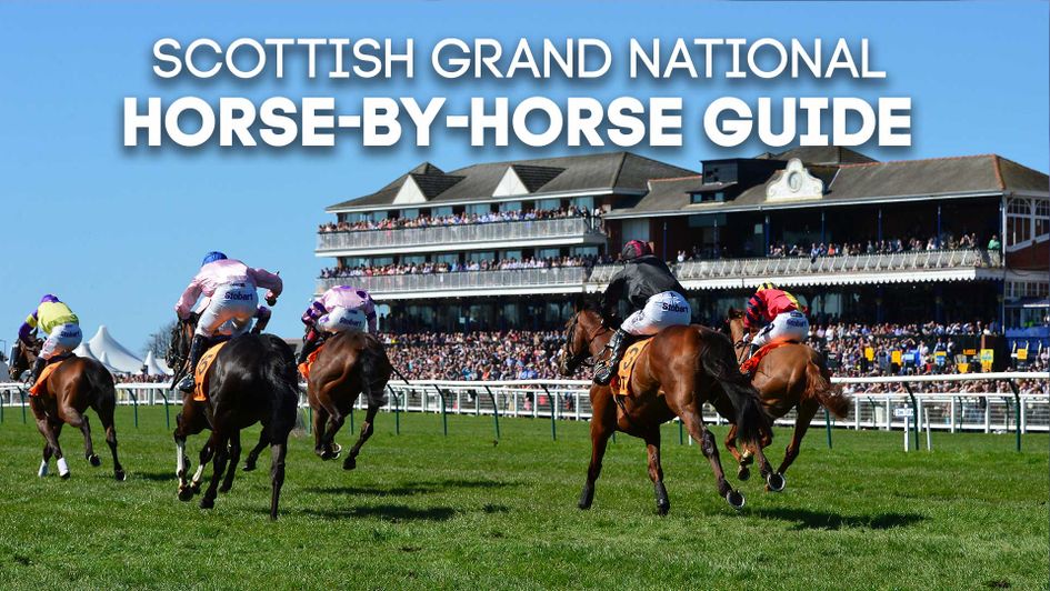 Check out our horse-by-horse guide to the Coral Scottish Grand National