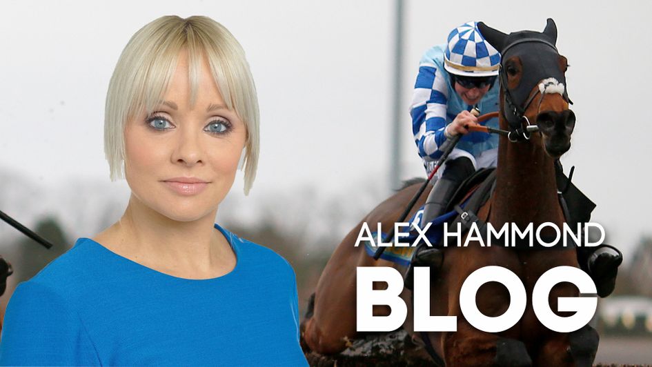 Alex Hammond looks ahead to the action