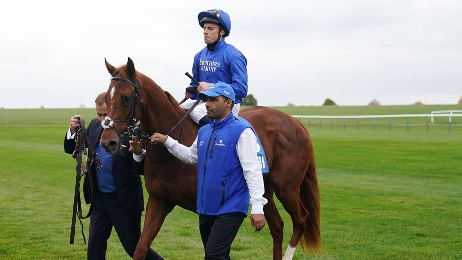Beckford's Folly returns after winning the Cornwallis