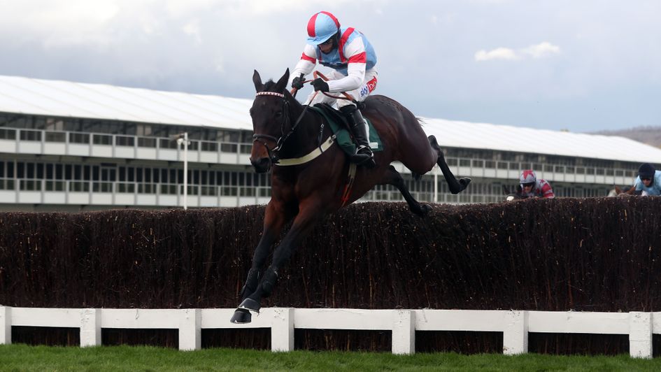 Rouge Vif makes a winning return at Cheltenham