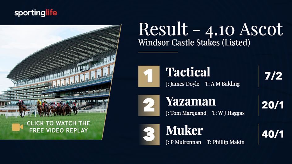Click the image to watch Tactical's Royal Ascot victory