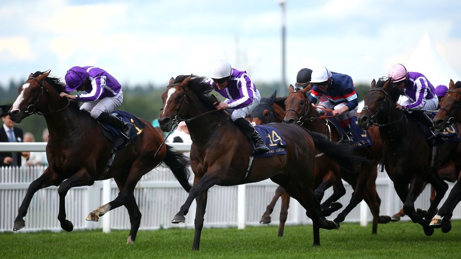 South Pacific (white cap) leads home a one-two-three for Aidan O'Brien