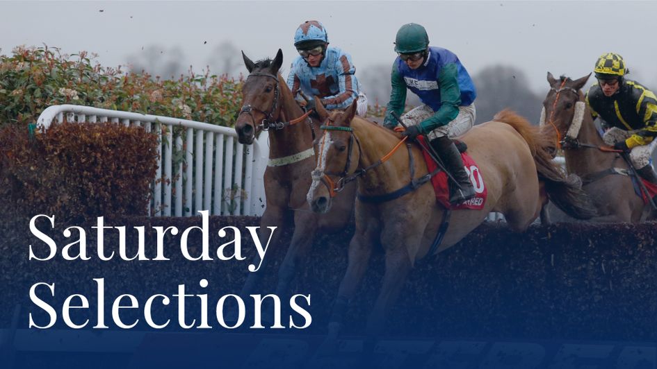 Ballydine looks a big price at 33/1