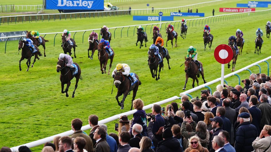Alphonse Le Grande wins the Cesarewitch