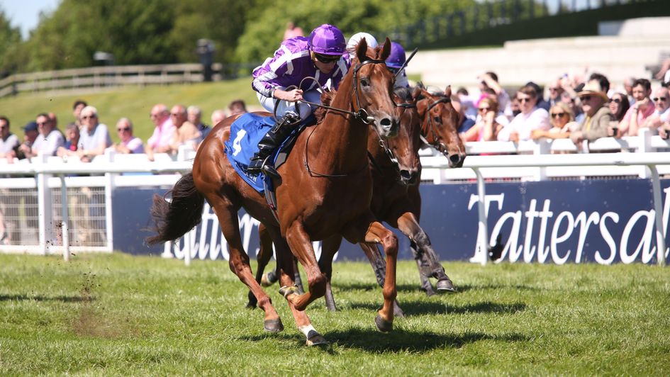 Great Barrier Reef wins the Marble