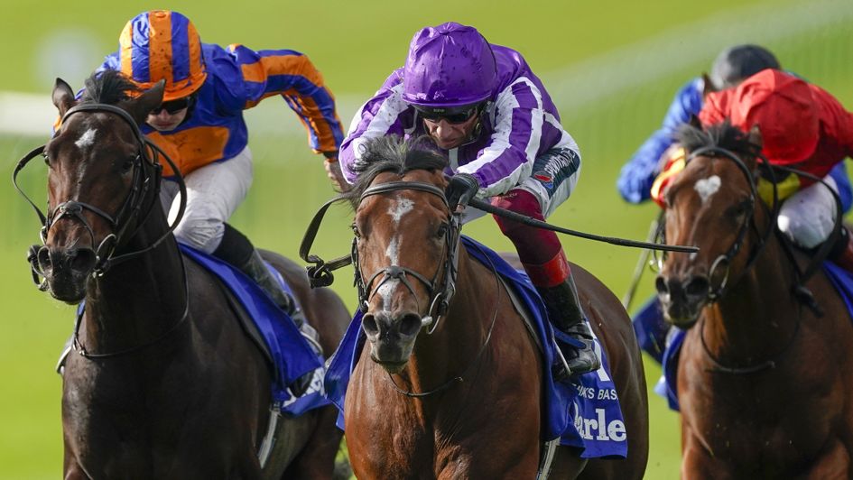 St Mark's Basilica (centre) beats stablemate Wembley (left) and Thunder Moon