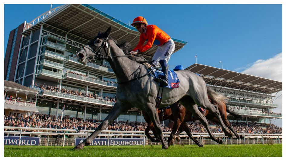 Grey Cuban wins again at York