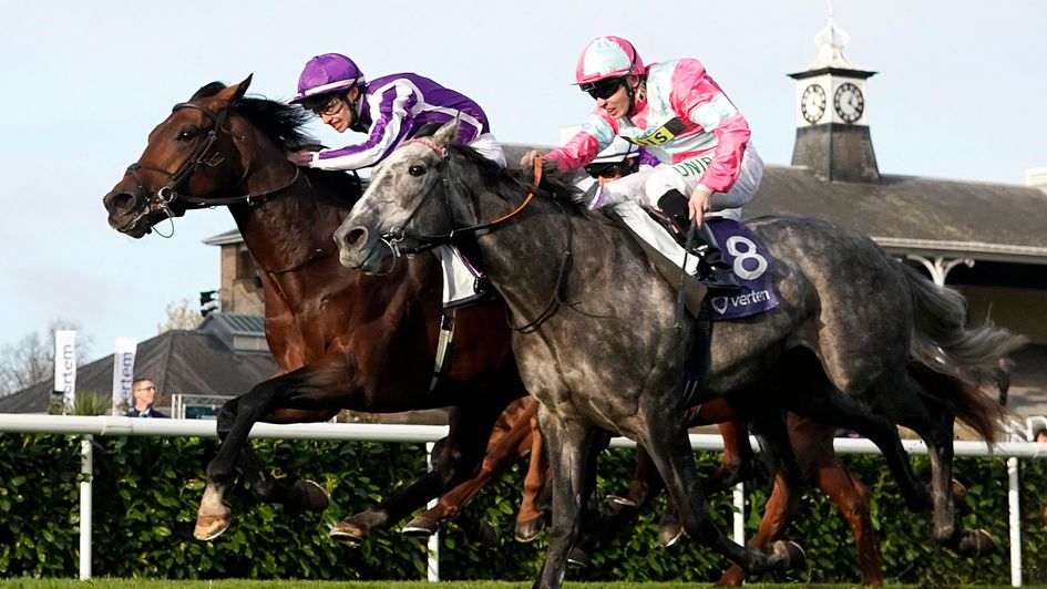 Phoenix Of Spain lays it down to Magna Grecia at Doncaster