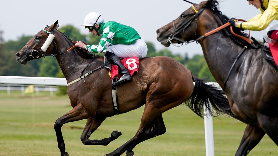 Lady Hamana wins the Scurry Stakes