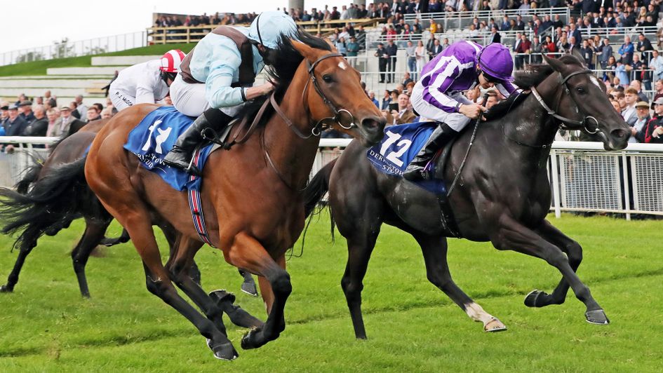 Fairyland (near side) beats So Perfect in the Flying Five Stakes