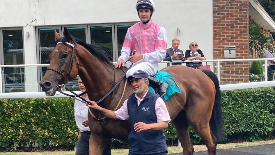 Zealot returns in triumph