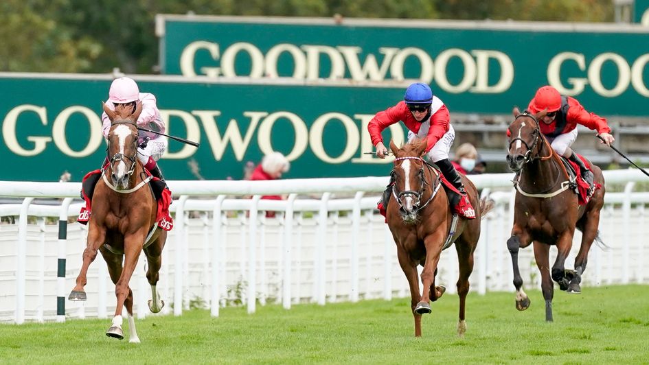 Urban Artist skips clear at Goodwood