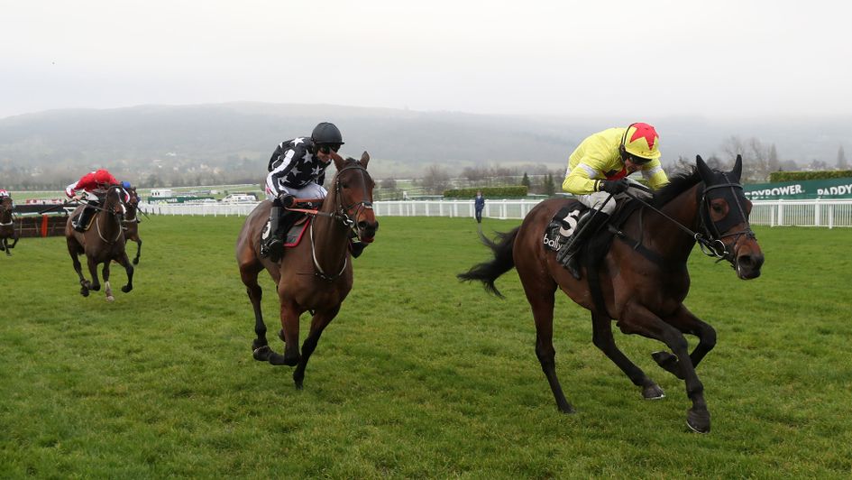 Protektorat (right) and Imperial Alcazar battle it out at Cheltenham