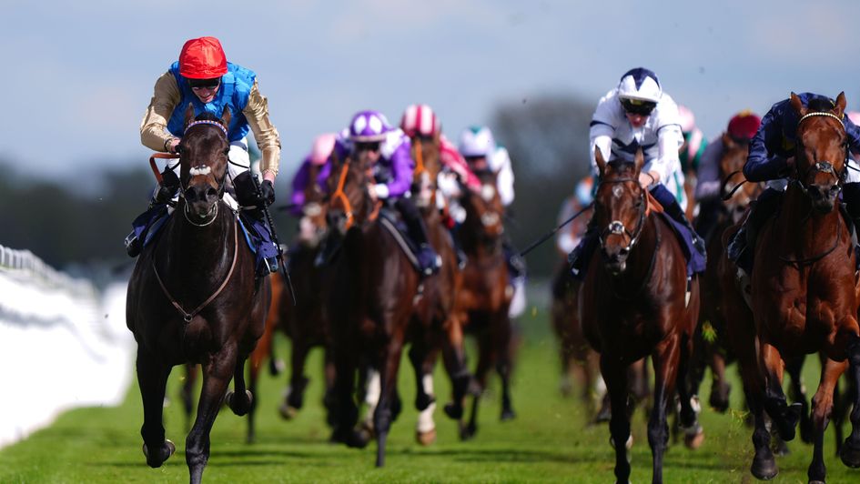 Exclusive Code wins under James Doyle