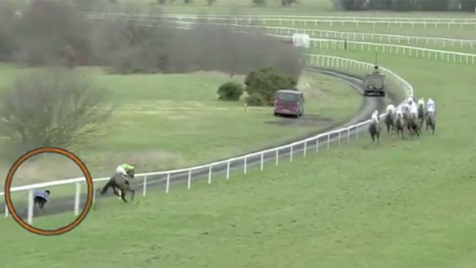 Scroll down to watch the video of this dog giving the horses a good race!