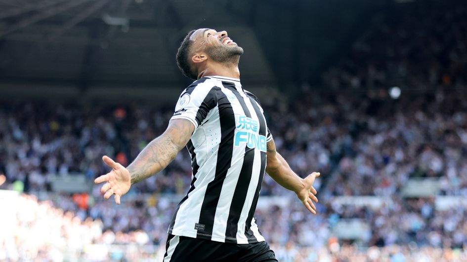 Callum Wilson celebrates a goal for Newcastle
