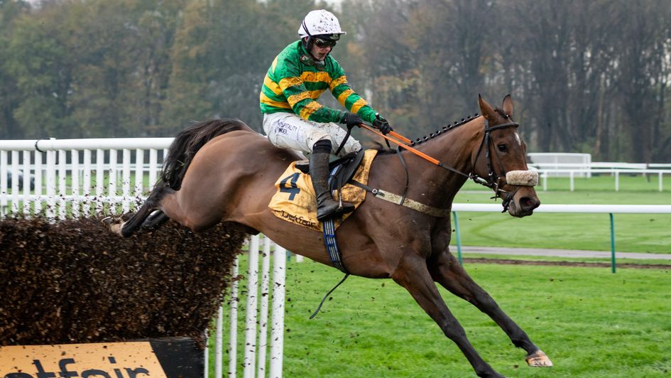 Iroko - handed entry at Ascot