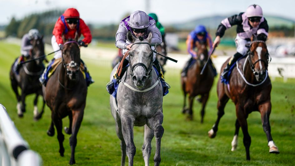 Havana Grey on his way to victory at the Curragh