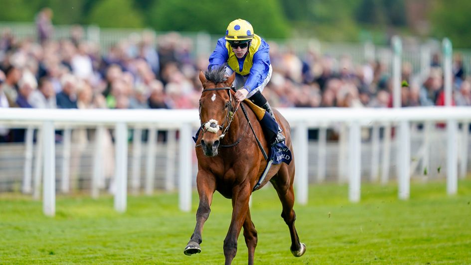 Desert Crown in splendid isolation