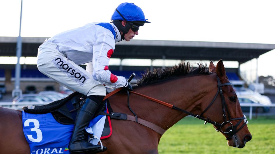 Kalif Du Berlais - Paul Nicholls paid tribute after stable star suffered broken shoulder