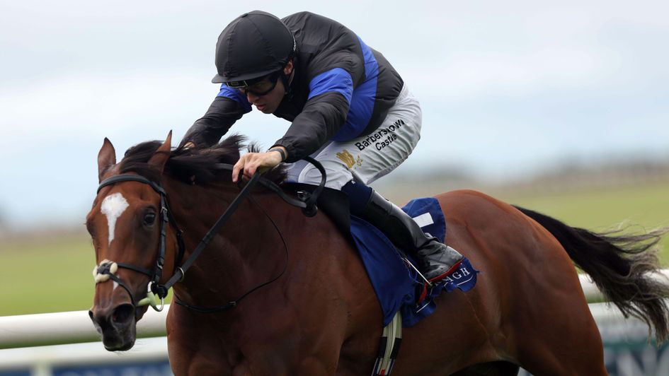 Queen Of Hawaii in winning action