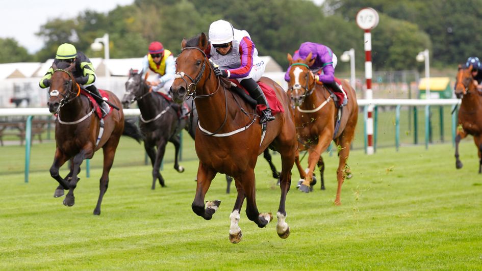 Rhythm Master in winning action