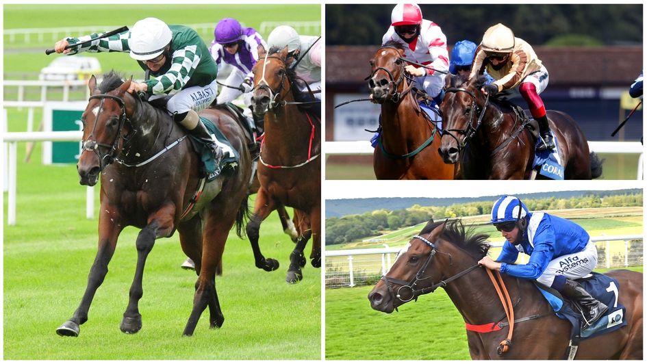 First-season sires seeking flying start