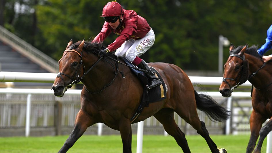 Darain wins at Newmarket