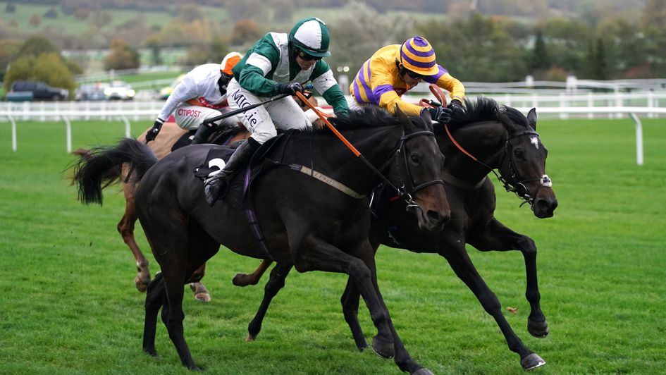 Blazing Khal - has Albert Bartlett target