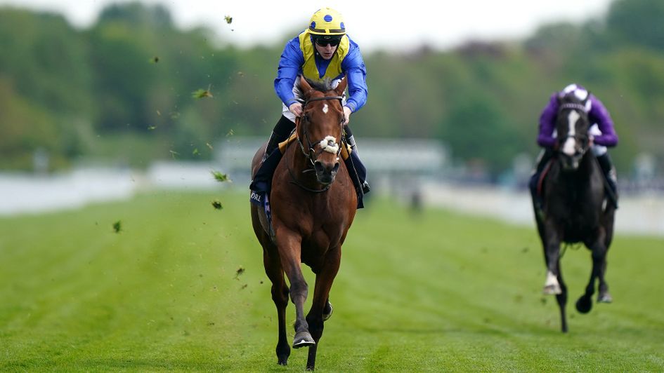 Desert Crown is clear in the Dante Stakes at York