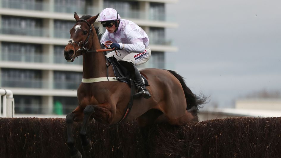 The Russian Doyen - encouraging reappearance