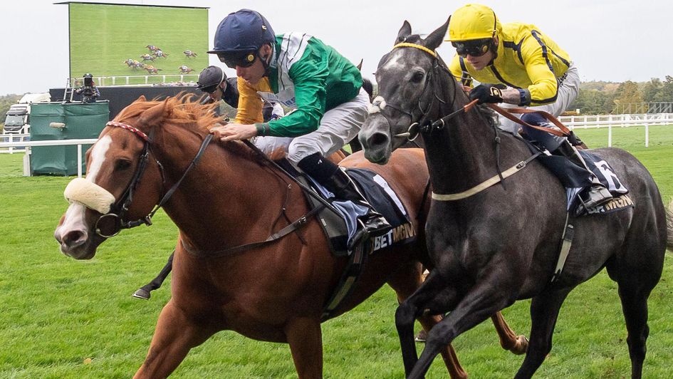 Shagraan wins at Ascot under Kieran Shoemark