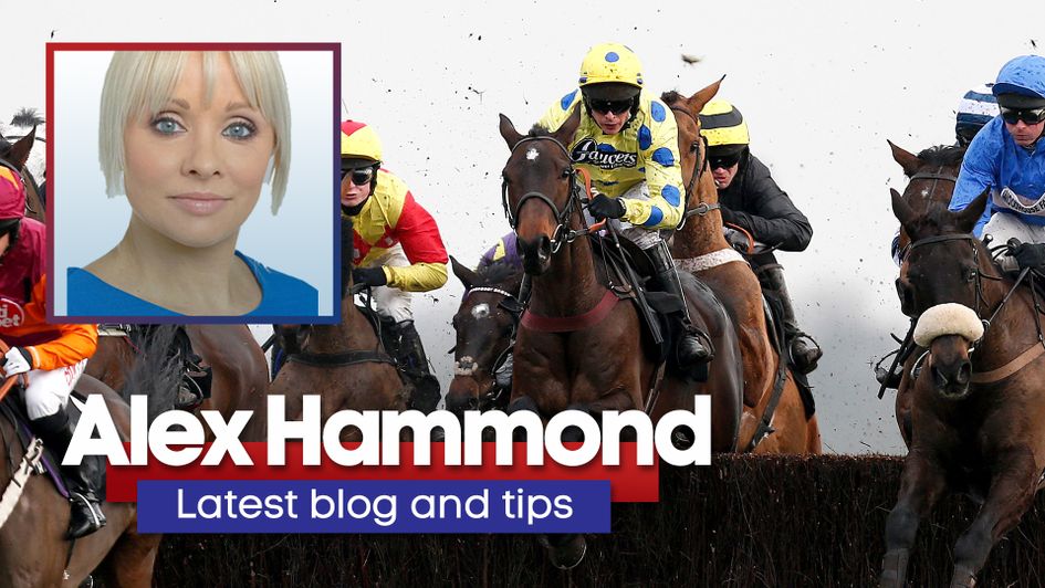 Belami Des Pictons looks a good bet this week