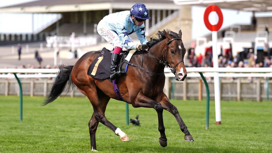 Adaay Of Scarlett makes an impressive winning debut