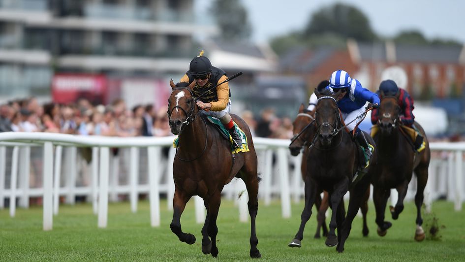 Waldpfad wins at Newbury