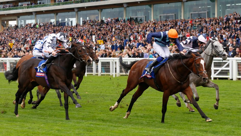 Accidental Agent beats Lord Glitters at Ascot