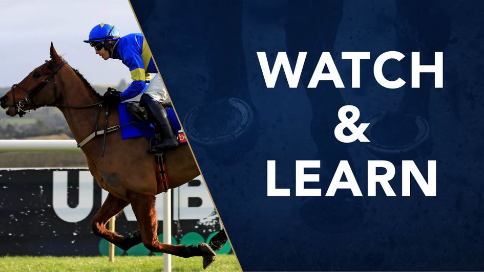 Dysart Dynamo in action at Punchestown