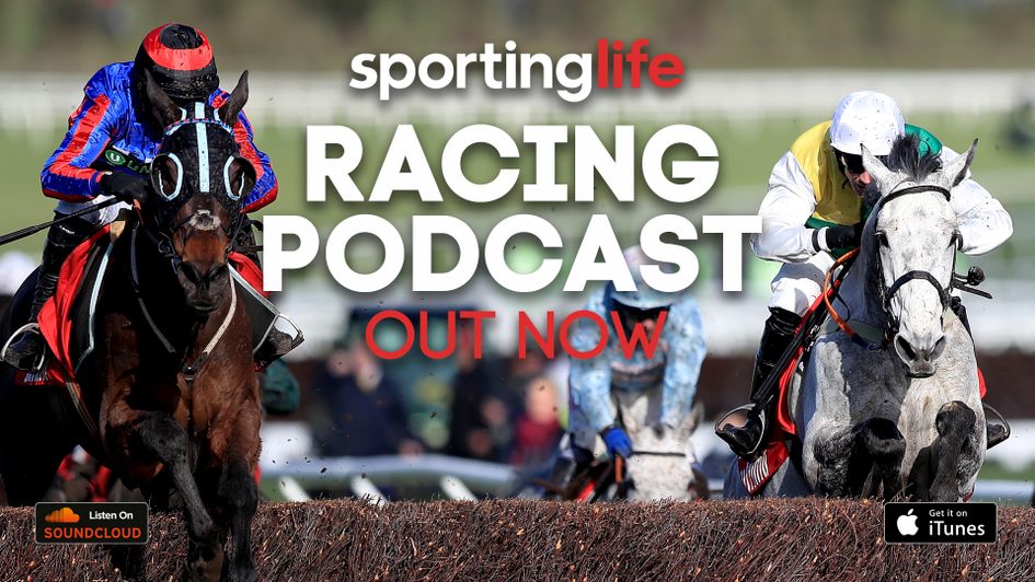 Beware The Bear and Vintage Clouds lock horns again at Ayr