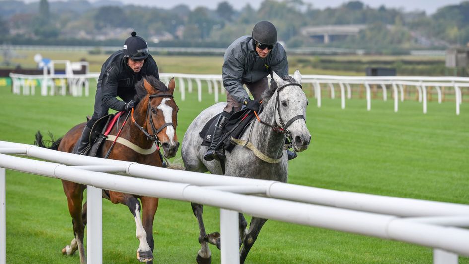 Leading Grand National hope Vintage Clouds (right)