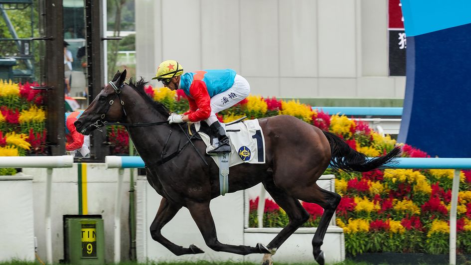 Ka Ying Rising returns better than ever